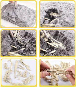 Kit de Excavación para Niños 🦖