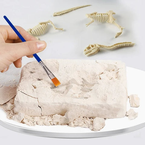 Kit de Excavación para Niños 🦖