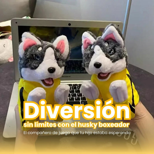 Juguete husky boxeador