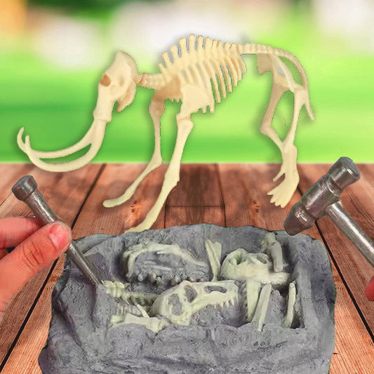 Kit de Excavación para Niños 🦖